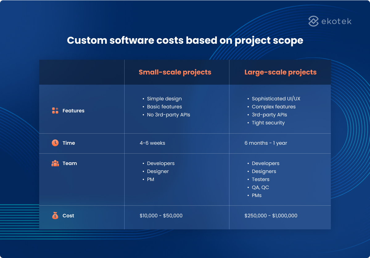 costs of custom software